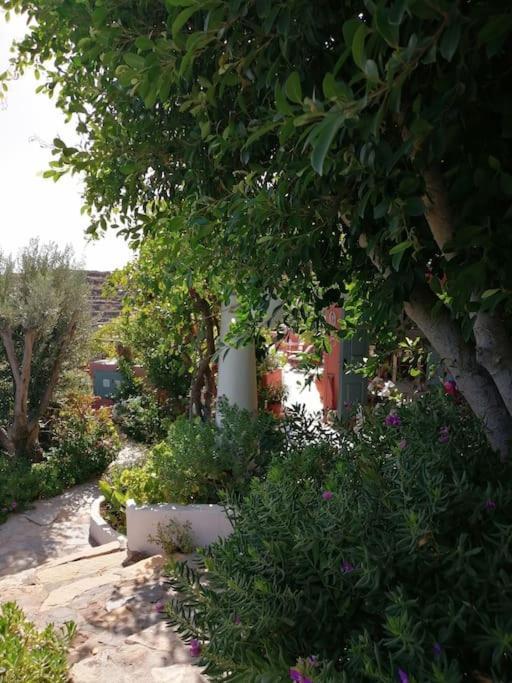 Casa Dei Melograni At Vourlidia Leros Βίλα Βρομόλιθος Εξωτερικό φωτογραφία