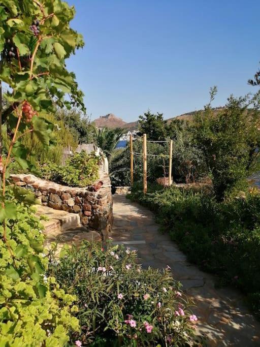 Casa Dei Melograni At Vourlidia Leros Βίλα Βρομόλιθος Εξωτερικό φωτογραφία